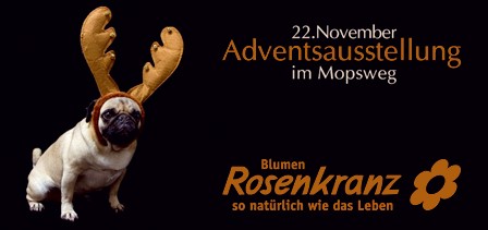 Besinnliche Klänge zum Anfang der Adventszeit